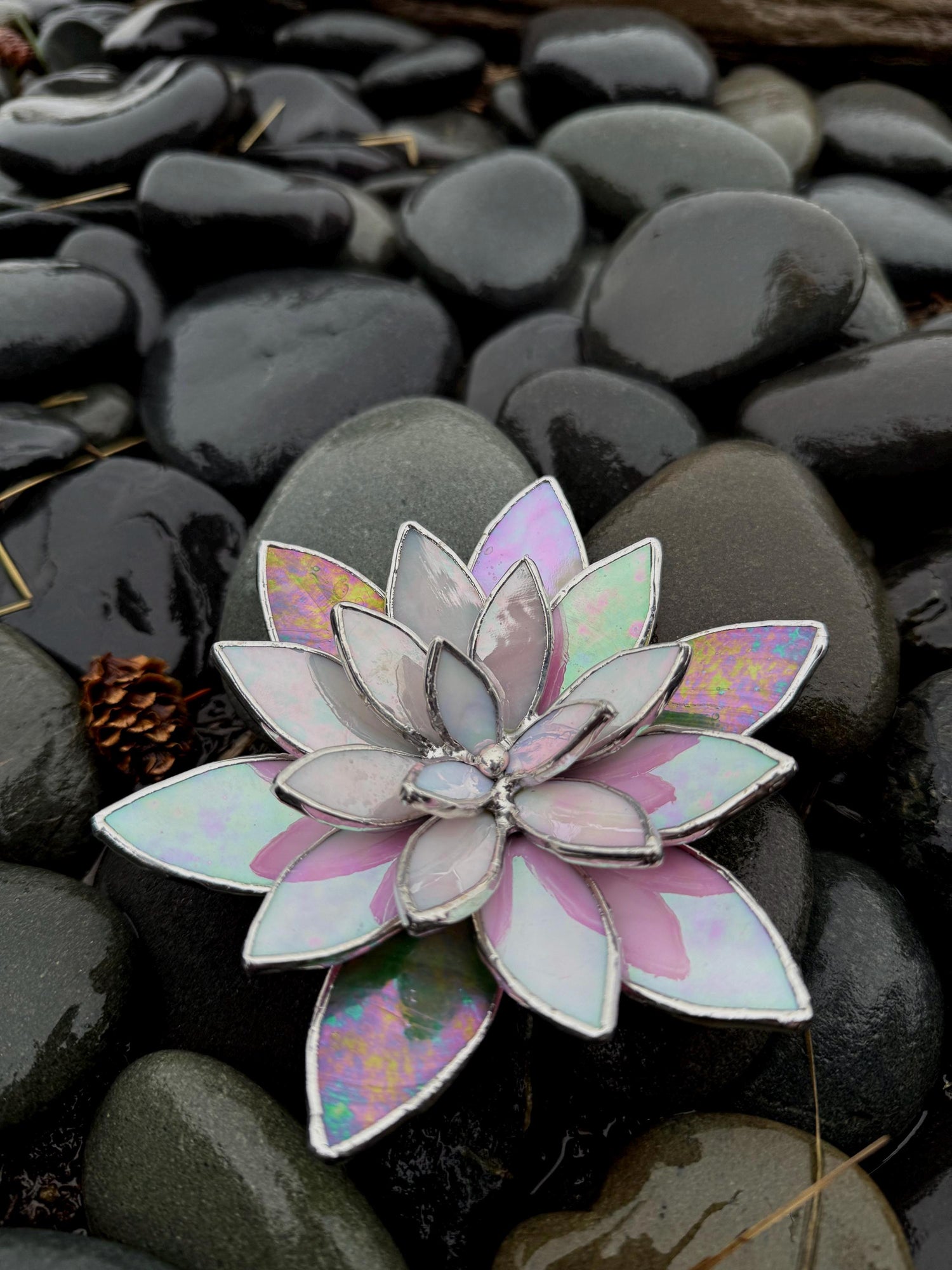 Plants made with intention